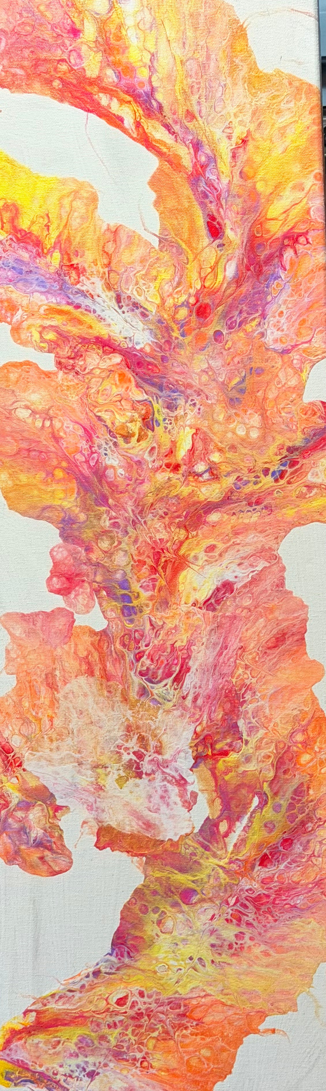 Phoenix Bloom image 2