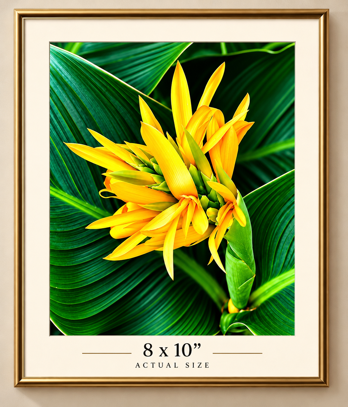 Golden Tropical Bloom -fine premium art print