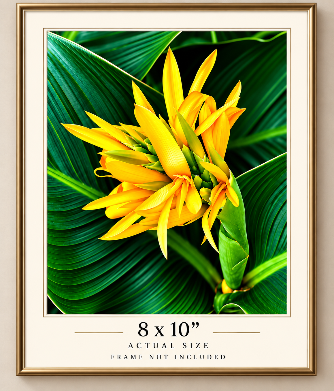 Golden Tropical Bloom -fine premium art print
